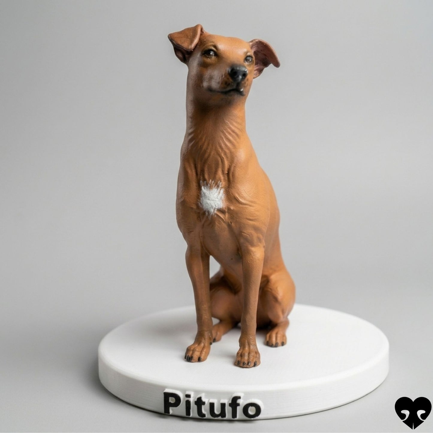 Mascota personalizada 16cm