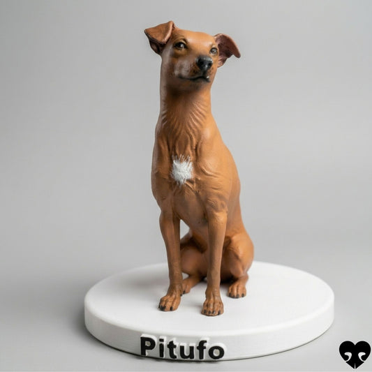 Mascota personalizada GRANDE