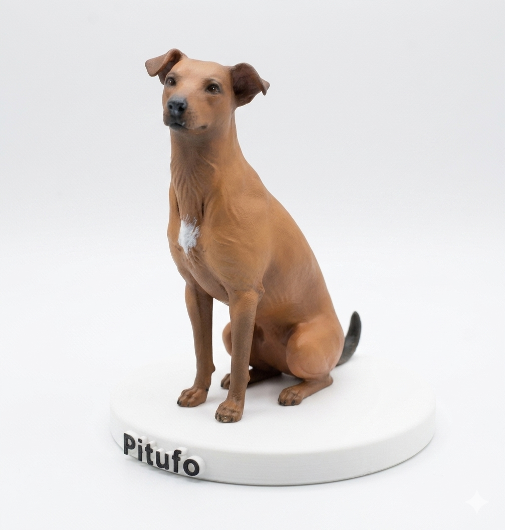 Mascota personalizada 16cm