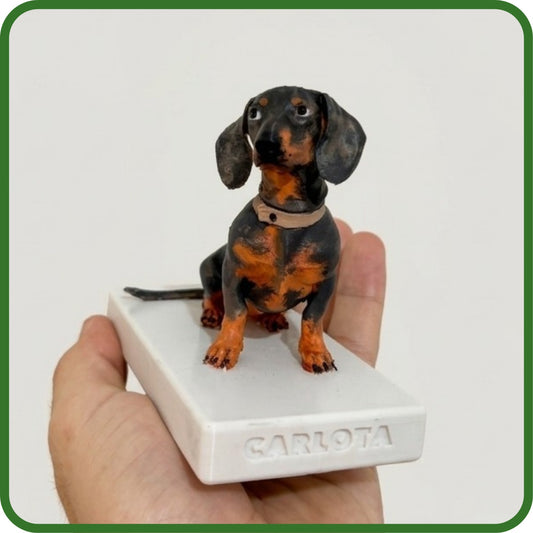 Mascota personalizada