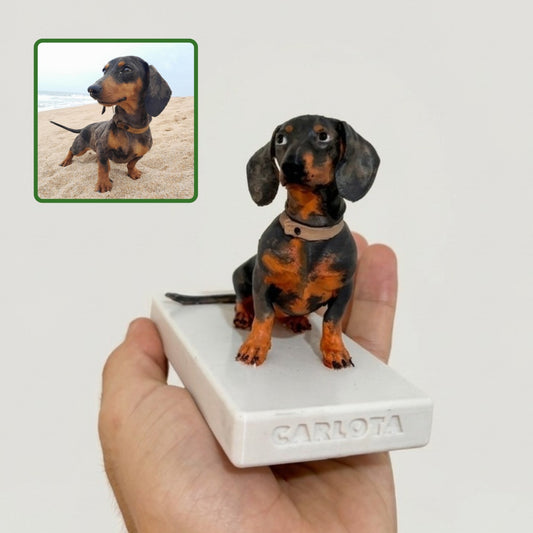 Mascota personalizada